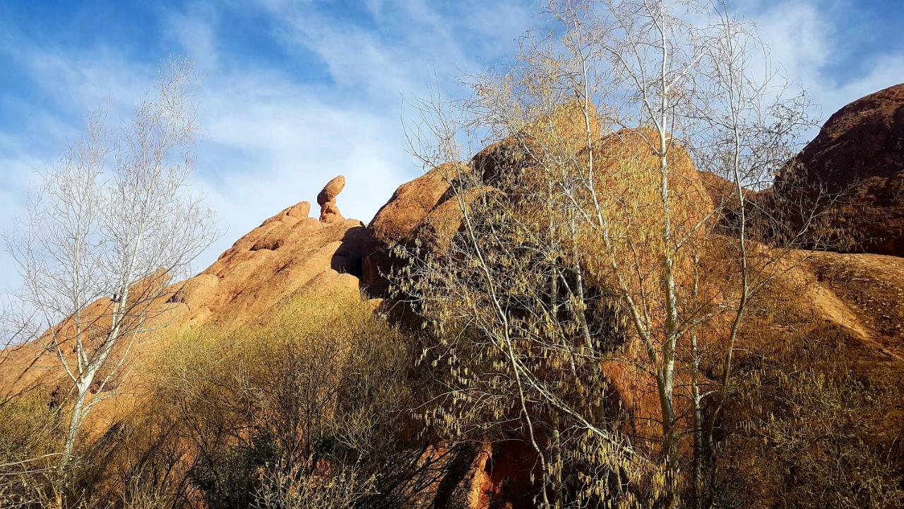 Auberge Kasbah Ait Marghad Tamellalt  Zewnętrze zdjęcie