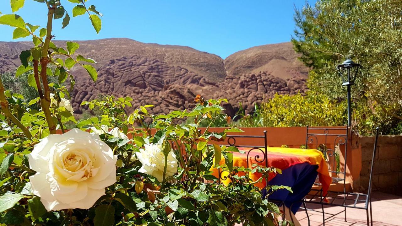 Auberge Kasbah Ait Marghad Tamellalt  Zewnętrze zdjęcie